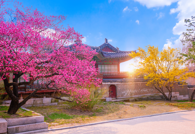 Nature in Korea