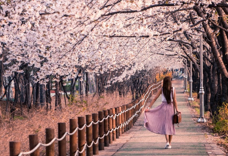 Autumn in Korea